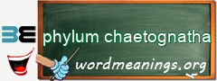 WordMeaning blackboard for phylum chaetognatha